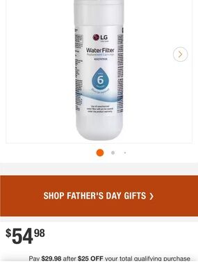LG White Refrigerator Water Filter